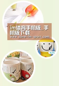 关于im体育官网