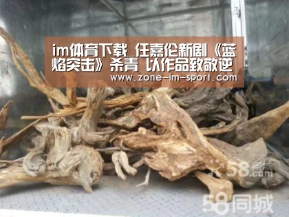 im体育下载_任嘉伦新剧《蓝焰突击》杀青 以作品致敬逆行英雄(图2) im体育官网