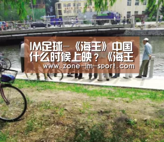 IM足球