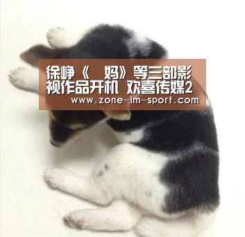 徐峥《囧妈》等三部影视作品开机 欢喜传媒2019年开门红‘im体育下载’(图1) IM足球