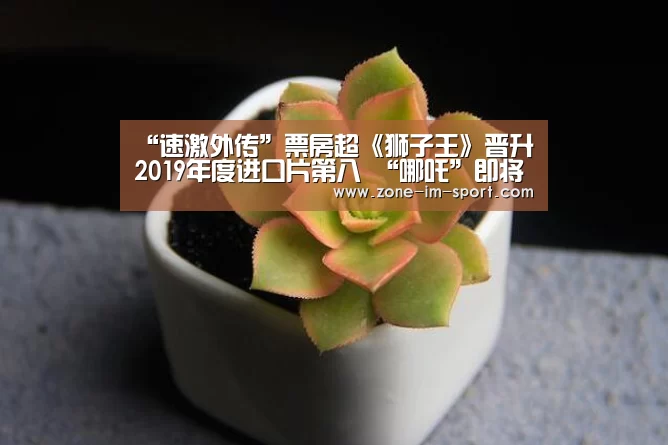 “速激外传”票房超《狮子王》晋升2019年度进口片第八 “哪吒”即将登陆北美【IM足球】(图1) IM足球