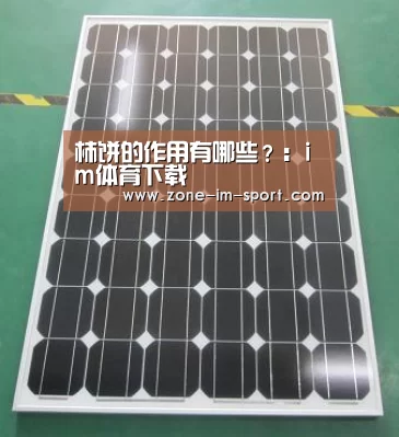 柿饼的作用有哪些?:im体育下载(图1) im体育官网
